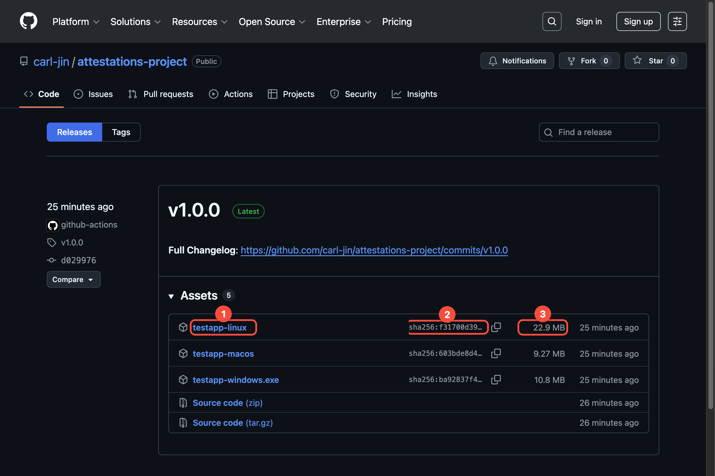 Release 页面显示 SHA256